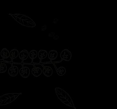 Decorative line art